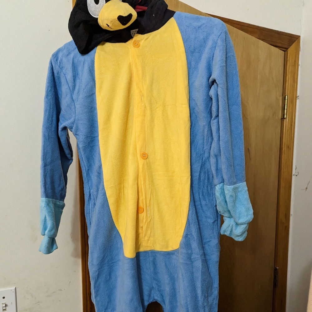 Bluey Halloween/One piece pj's.